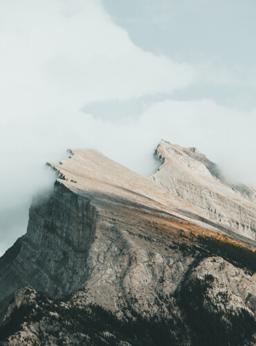 Services Elderly Person Picking Tea Leaves